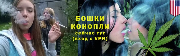 индика Кодинск