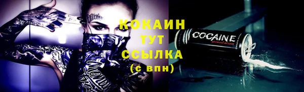 ешки Корсаков