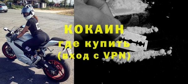 ешки Корсаков