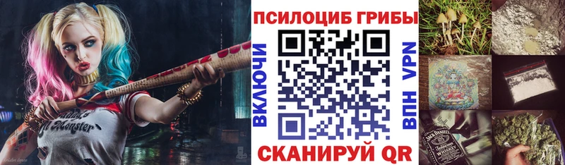Купить  Долгопрудный  Псилоцибиновые грибы MAGIC MUSHROOMS 